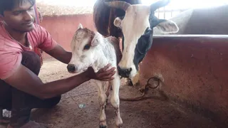 December 26 2021 sripuram Sarvajanpeetam