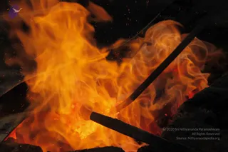 August 24 2014
