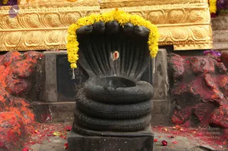 November 18 2015