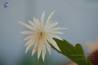 September 10 2006