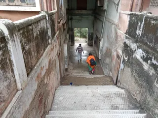 KAILASA India Uttar-Pradesh Kashi 221001-2022-01-24-1iaX0tSUFHXuYgS6JcHbd5-VnZJv y7JM.jpg