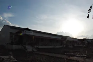 November 20 2008