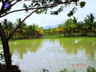 October 27 2006