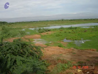 October 29 2006