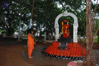 July 11 2010