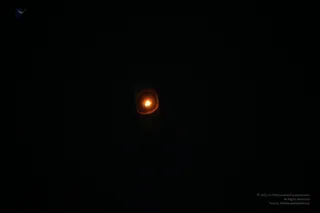 December 20 2011