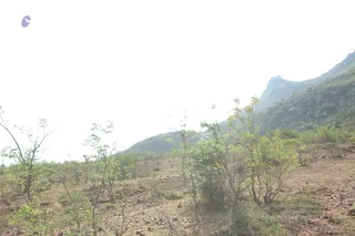 1978 - Tiruvannamalai - InnerGirivala