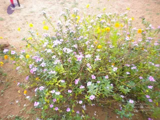 October 01 2010