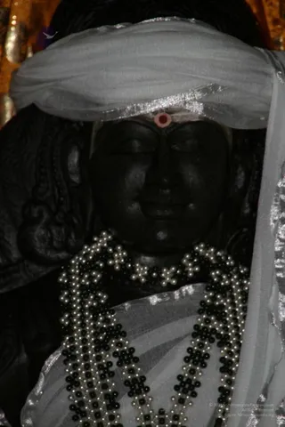 20111110 IMG 0608-05001.jpg