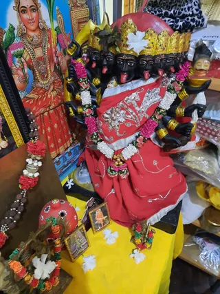 Photo 9920783