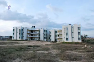 November 20 2008