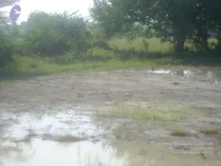 September 2006 - Sindhanur flood relief