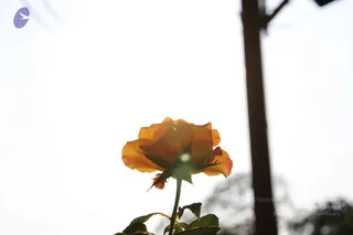 October 03 2014