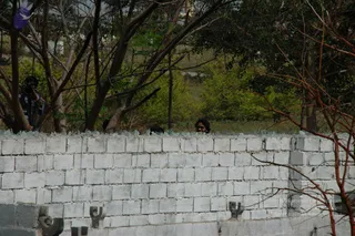 June 05 2010