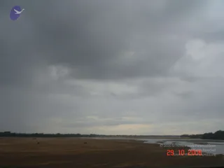 October 29 2006