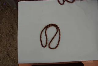 2008 - Nithyananda Galleria
