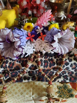 Photo 9920920
