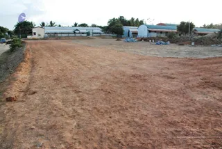 November 20 2008