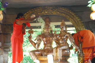 June 15 2009