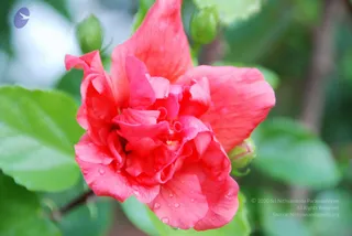 August 09 2010