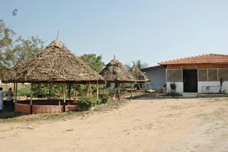 February 19 2008