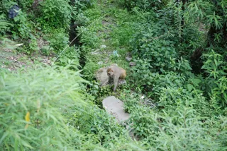June 29 2008