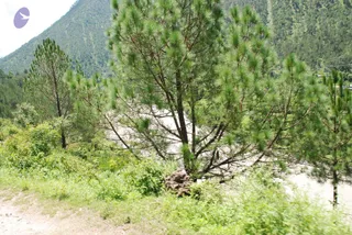 July 02 2008