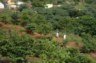 May 20 1989