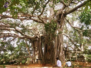 2004 - First Sannyas Deeksha At AdiKailaasa