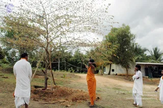 September 19 2006