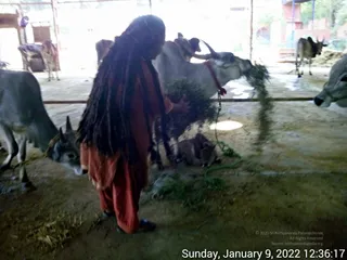 January 09 2022