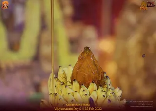 ADIKAILASA-2022-02-25-1UZ6Xd6LrE9oDovbpysItwc1SkhIwFpig.jpg