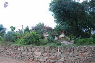 July 09 2010