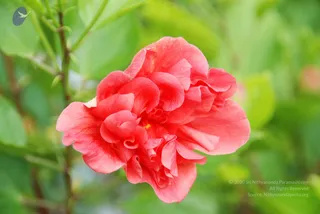 August 05 2010