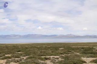 August 05 2011