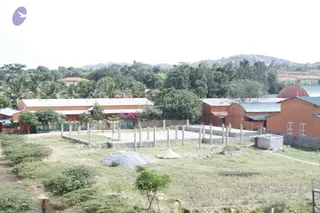 August 08 2011