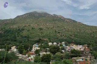 May 20 1989