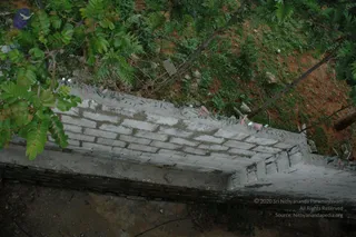 June 11 2010