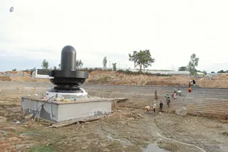 November 19 2008