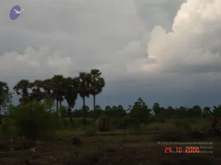 October 29 2006