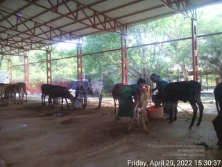 April 29 2022