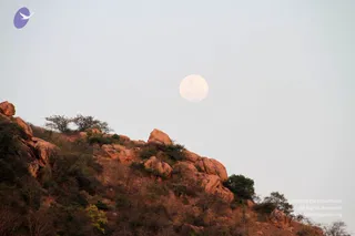 April 05 2012