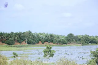 August 17 2006