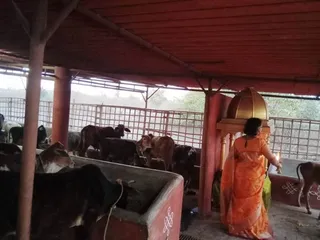 Feb 4 2022 sripuram