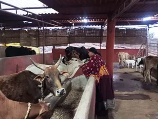 Jan 26 2022 sripuram