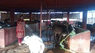 Jan 15 2022 sripuram