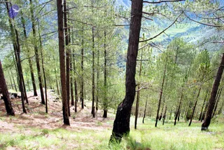 July 01 2008
