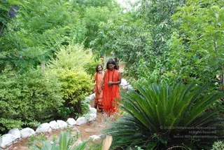 July 27 2008