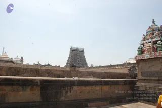 August 11 2009