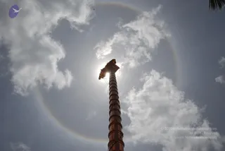 July 11 2010